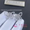 Graff Butterfly Silhouette Diamond Stud Earrings Rge879 (1)