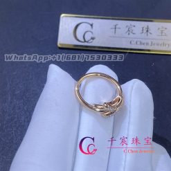 Chaumet Jeux De Liens Ring 082218 (4)