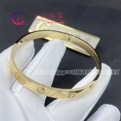 Cartier Love Bracelet B6035517