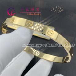 Cartier Love Bracelet B6035517