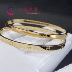 Cartier Love Bracelet Small Model B6047517