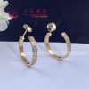 Cartier Love Earrings Yellow Gold