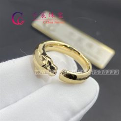 Cartier Panthère De Cartier Ring B4230100