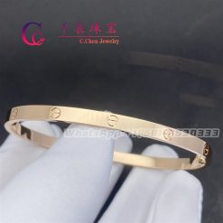 Cartier Love Bracelet Small Model B6047317