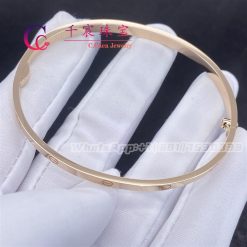 Cartier Love Bracelet Small Model B6047317