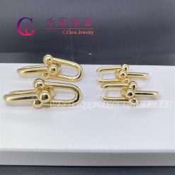 Tiffany HardWear Link Earrings In Yellow Gold 60006355