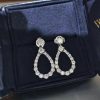 Harry Winston Diamond Loop Extra Large Diamond Earrings EADPRDXLLP